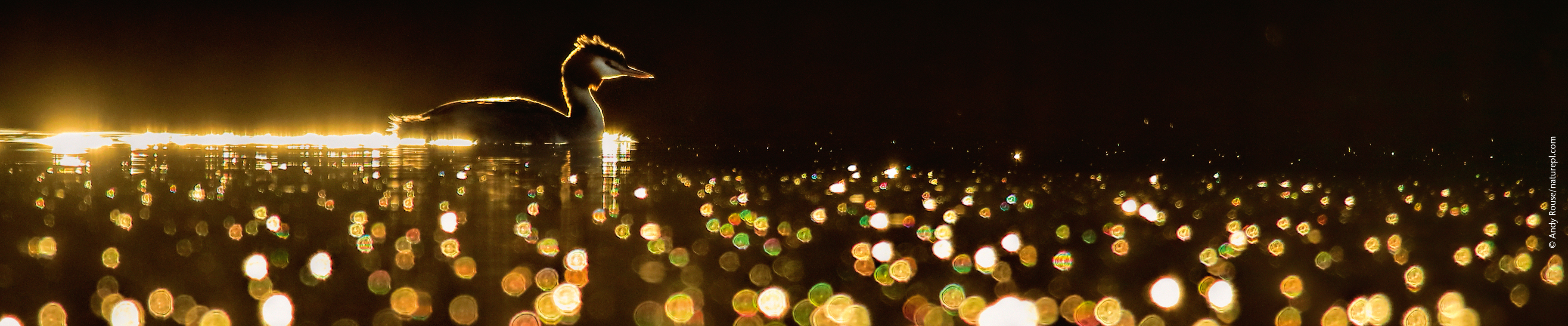 Die Kalenderwelt von Weingarten